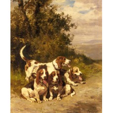 Hunting Dogs on a Forest Path