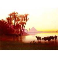 Along The Nile