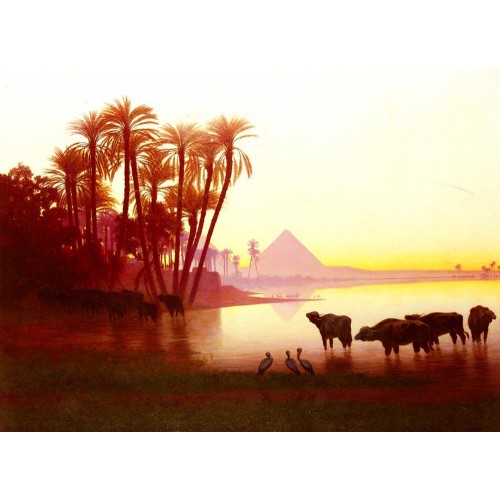 Along The Nile