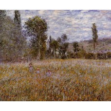 A Meadow