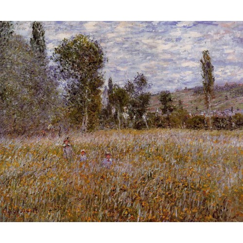 A Meadow