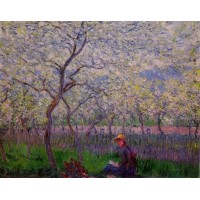 An Orchard in Spring