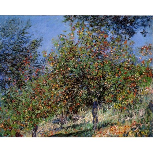 Apple Trees on the Chantemesle Hill