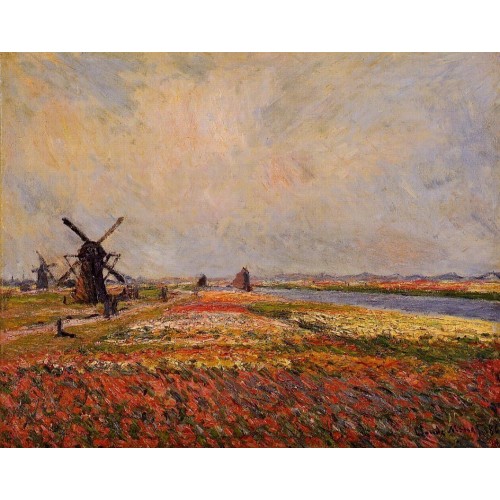 Fields of Flowers and Windmills near Leiden