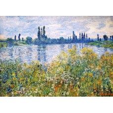 Flowers on the banks of seine near vetheuil