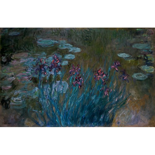 Irises and water lilies