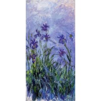 Lilac Irises