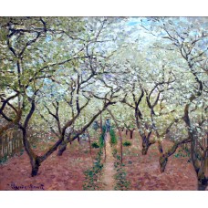 Orchard in bloom