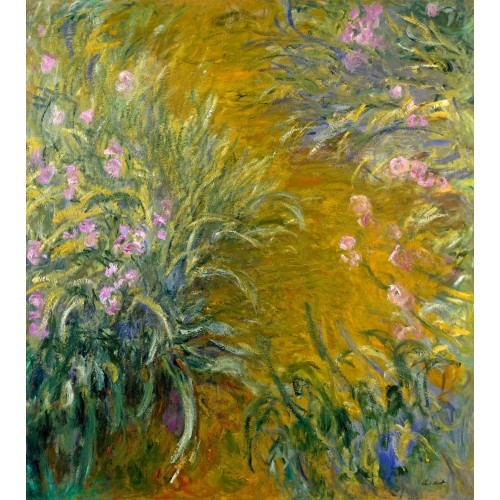Path through the irises 1