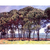 Pine Trees Cap d'Antibes