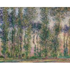 Poplars at giverny