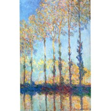 Poplars on the banks of the epte