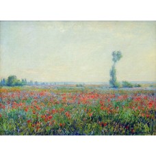 Poppy field 2