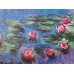 Red Water Lilies - oil painting reproduction