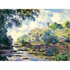 Section of the seine near giverny