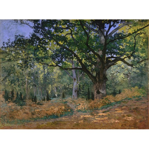The bodmer oak fontainebleau 2