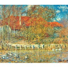 The pond with ducks in autumn