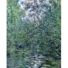 The willows on the river