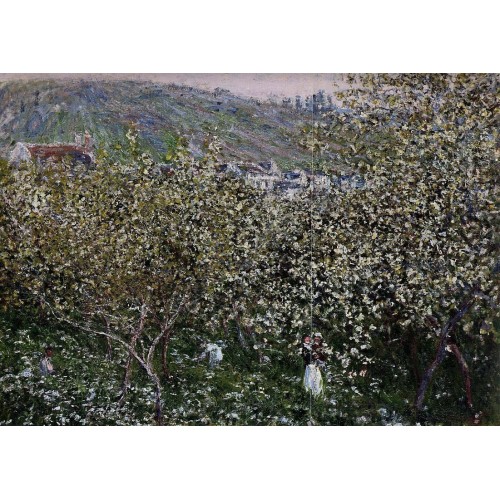 Vetheuil Flowering Plum Trees