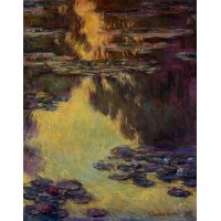 Water Lilies 16