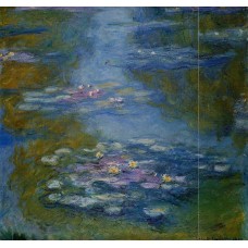 Water Lilies 19