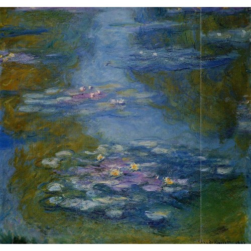 Water Lilies 19