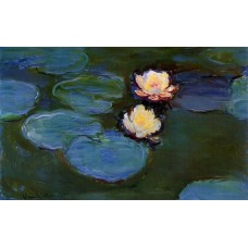 Water Lilies 2