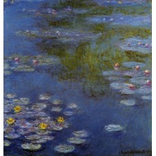 Water Lilies 21