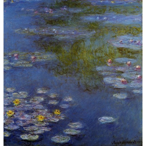 Water Lilies 21