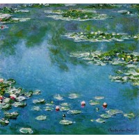 Water Lilies 22