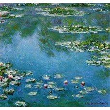 Water Lilies 22