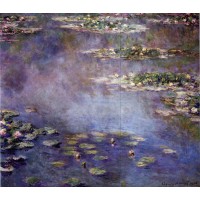 Water Lilies 24