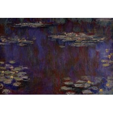 Water Lilies 27