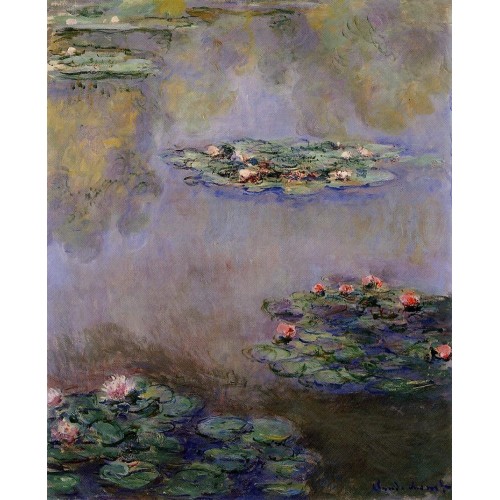 Water Lilies 3