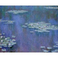 Water Lilies 31