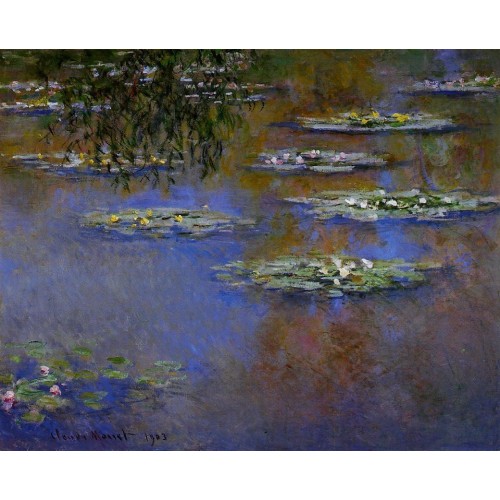 Water Lilies 33
