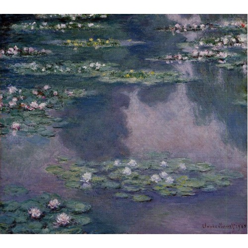 Water Lilies 36