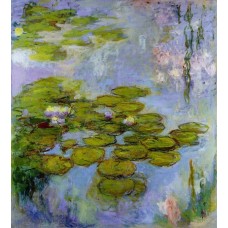 Water Lilies 41