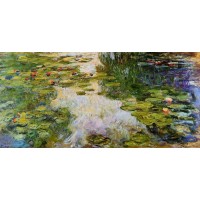 Water Lilies 42