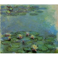 Water Lilies 43