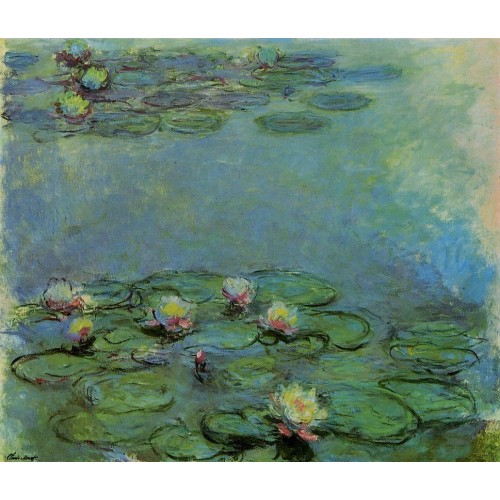 Water Lilies 43