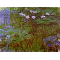 Water Lilies 44