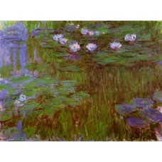 Water Lilies 44