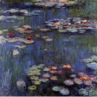 Water Lilies 45