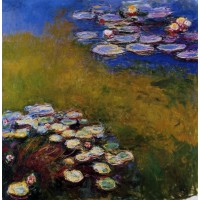 Water Lilies 46