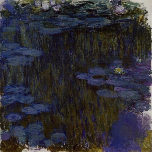 Water Lilies 49