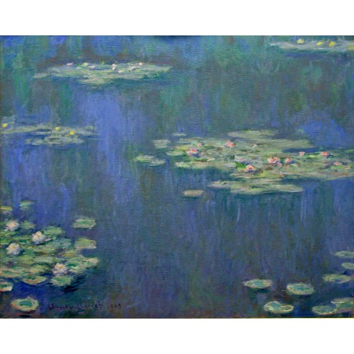 Water lilies 53