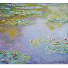 Water lilies 56