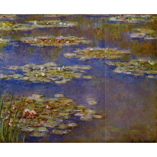 Water Lilies 6