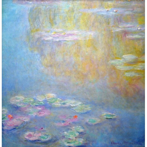 Water lilies 61